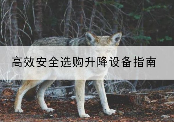 墨江升降货梯厂家推荐-*安全选购升降设备指南