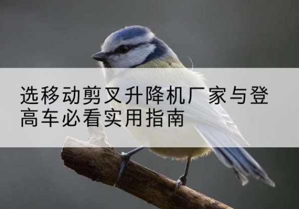 墨江电动升降机厂家-选移动剪叉升降机厂家与登高车必看实用指南